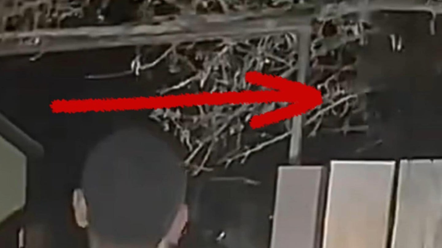 Expert Analysis Uncovers Hidden Details in Alleged Las Vegas Alien Sighting